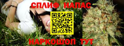 альфа пвп Краснознаменск
