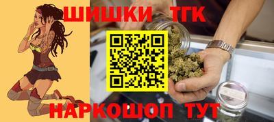 индика Кулебаки