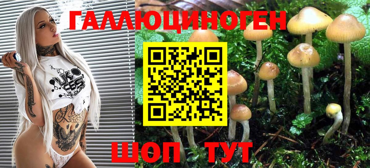 Жигулёвск  Галлюциногенные грибы Psilocybe  Вход с VPN 
