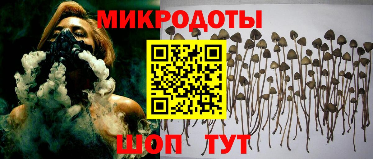 Псилоцибиновые грибы GOLDEN TEACHER Жигулёвск